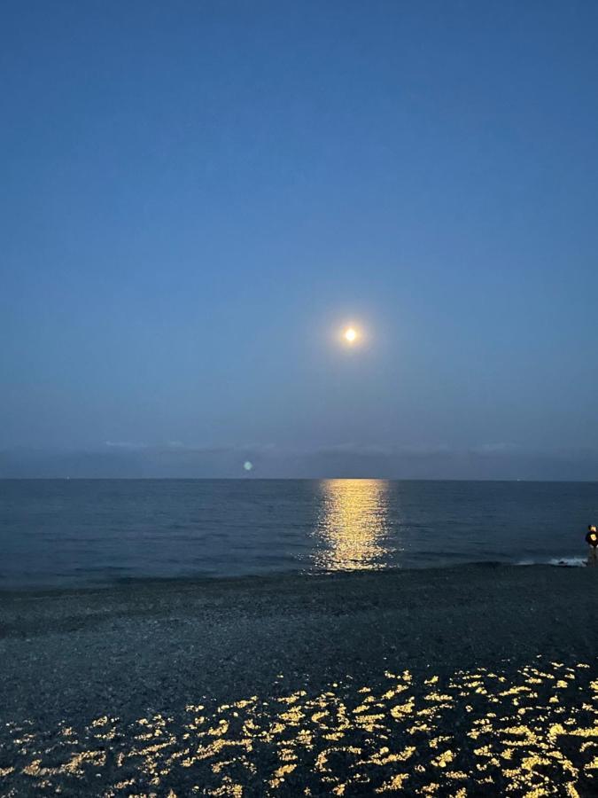 Villa La Carpenee 로크포르레핀 외부 사진
