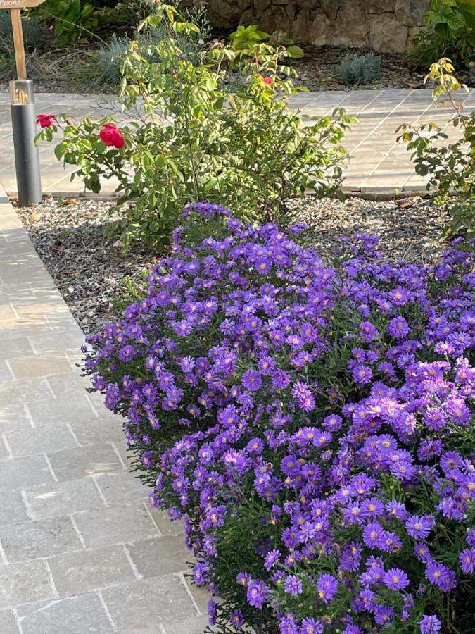 Villa La Carpenee 로크포르레핀 외부 사진